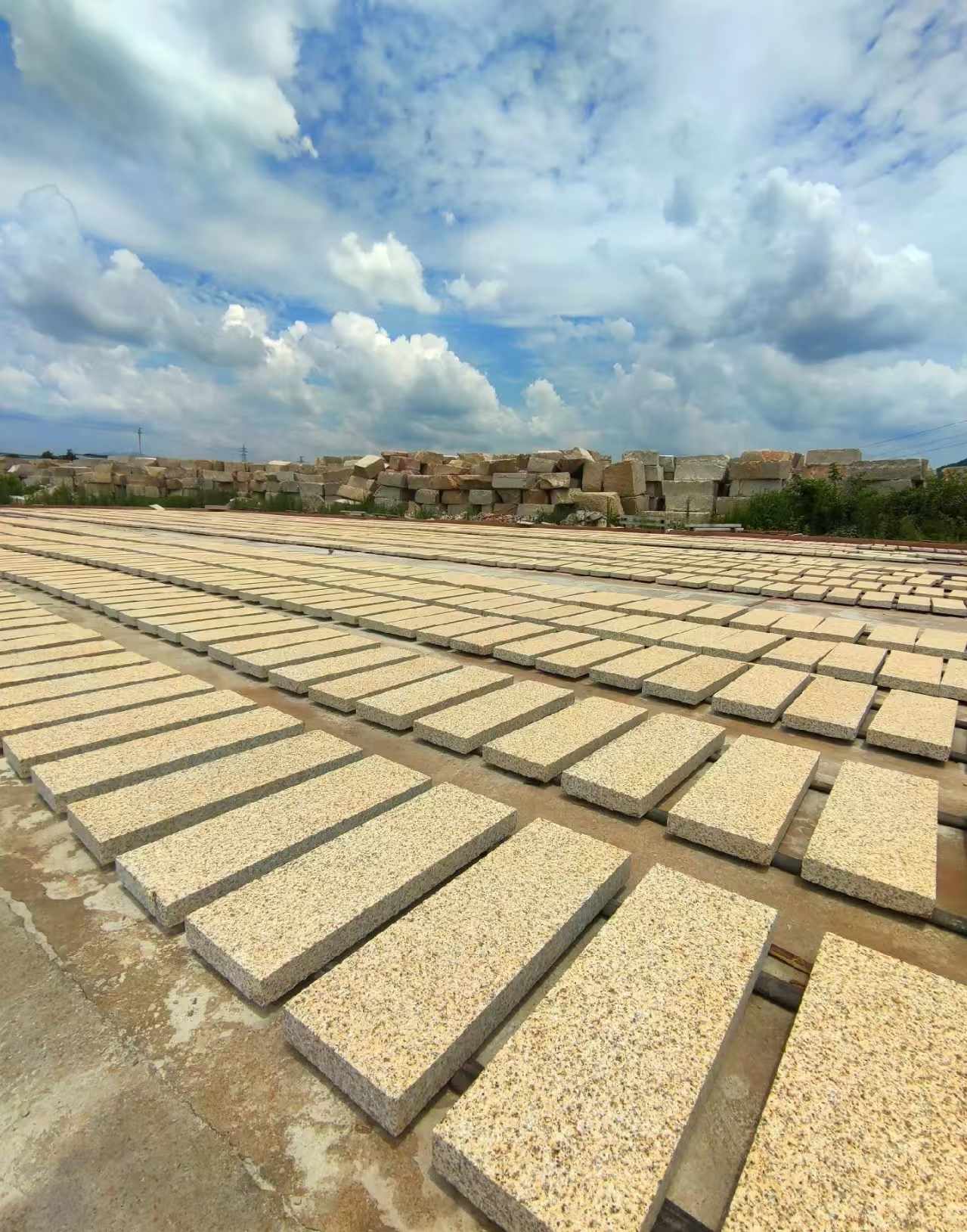 昌都 黄金麻荔枝面花岗岩石材地铺石防护中