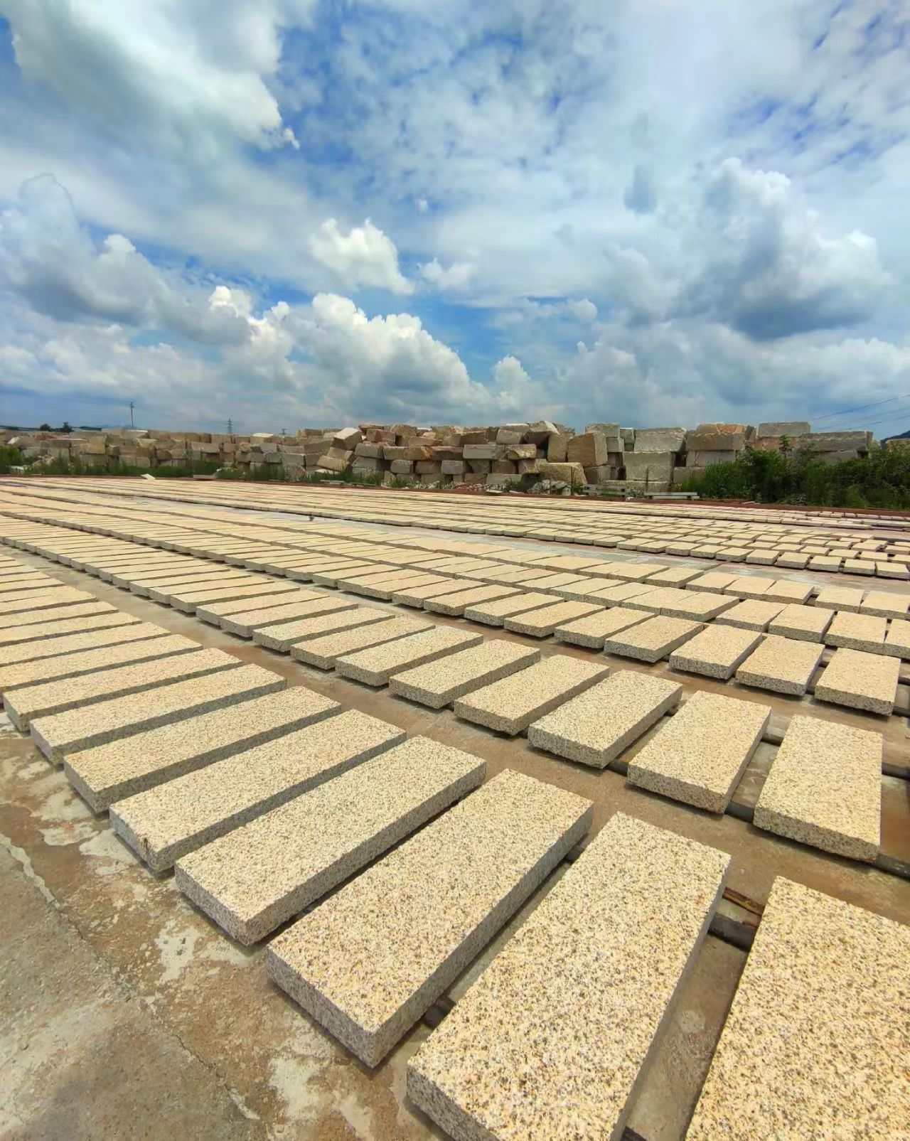 昌都 黄金麻花岗岩荔枝面地铺石防护中